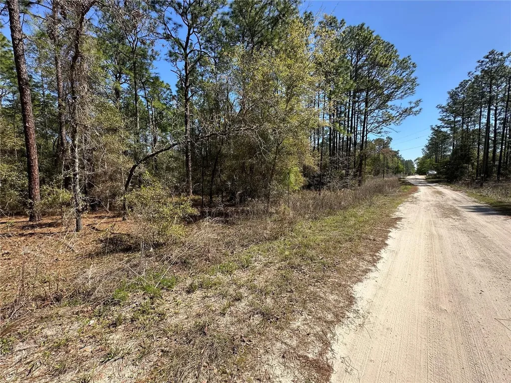 Tbd SW 29th Street Ocala FL 34473