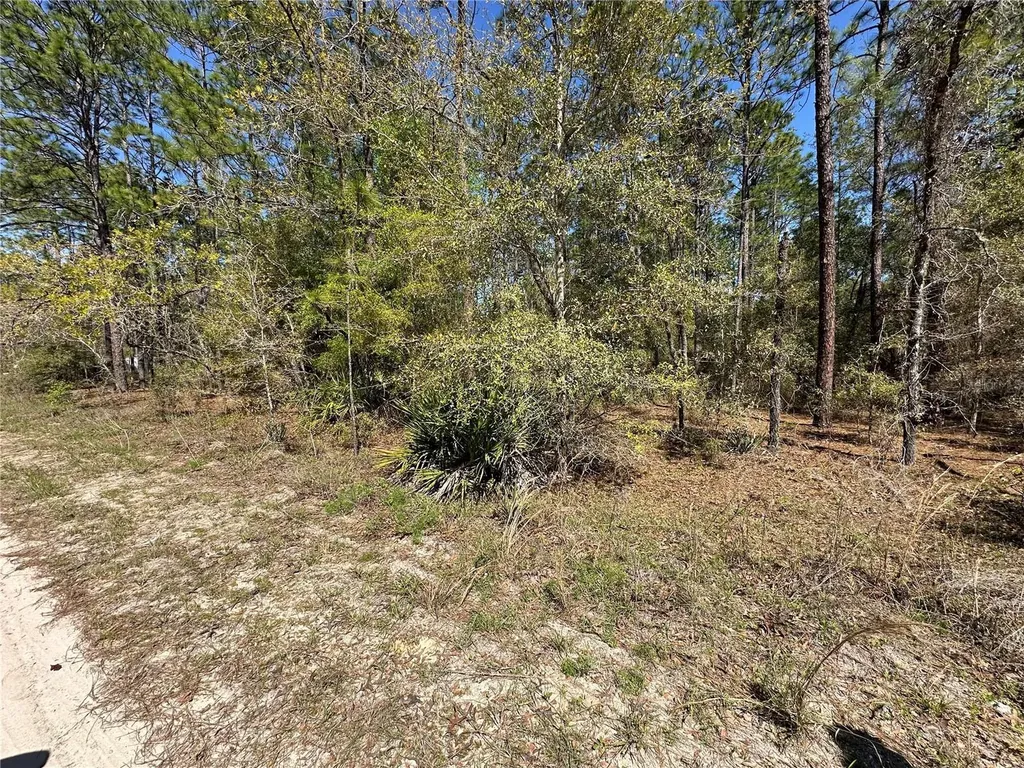 Tbd SW 29th Street Ocala FL 34473