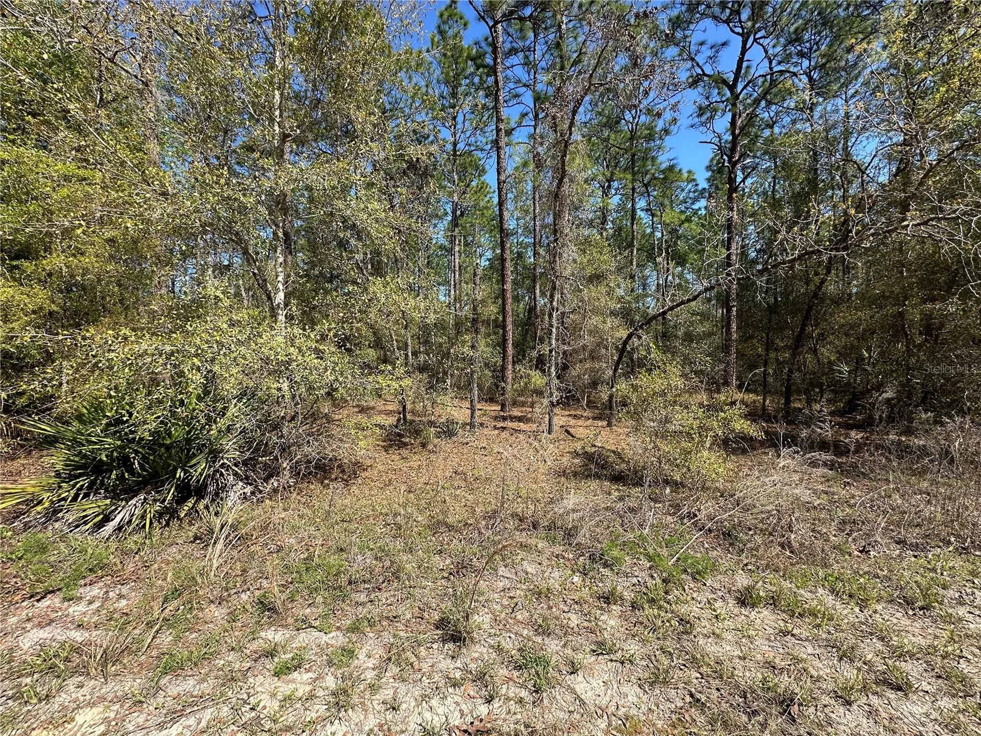 Tbd SW 29th Street Ocala FL 34473