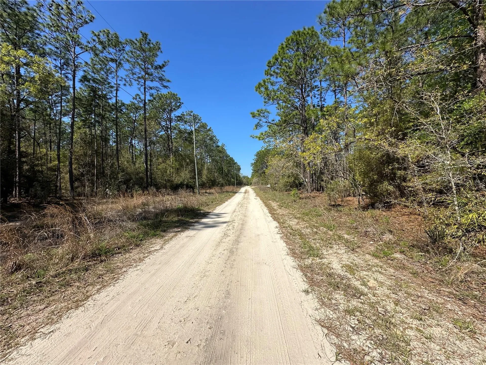 Tbd SW 29th Street Ocala FL 34473