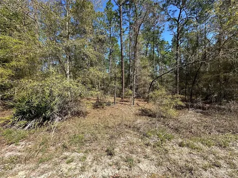 Tbd SW 29th Street Ocala FL 34473