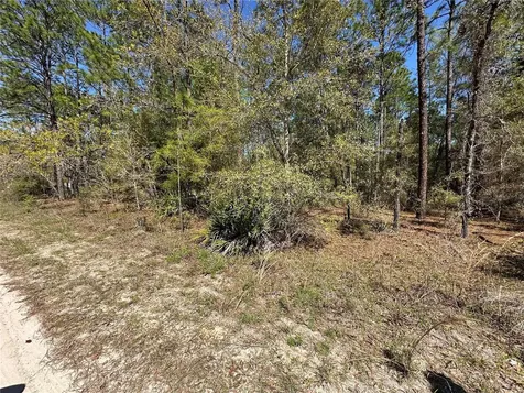 Tbd SW 29th Street Ocala FL 34473