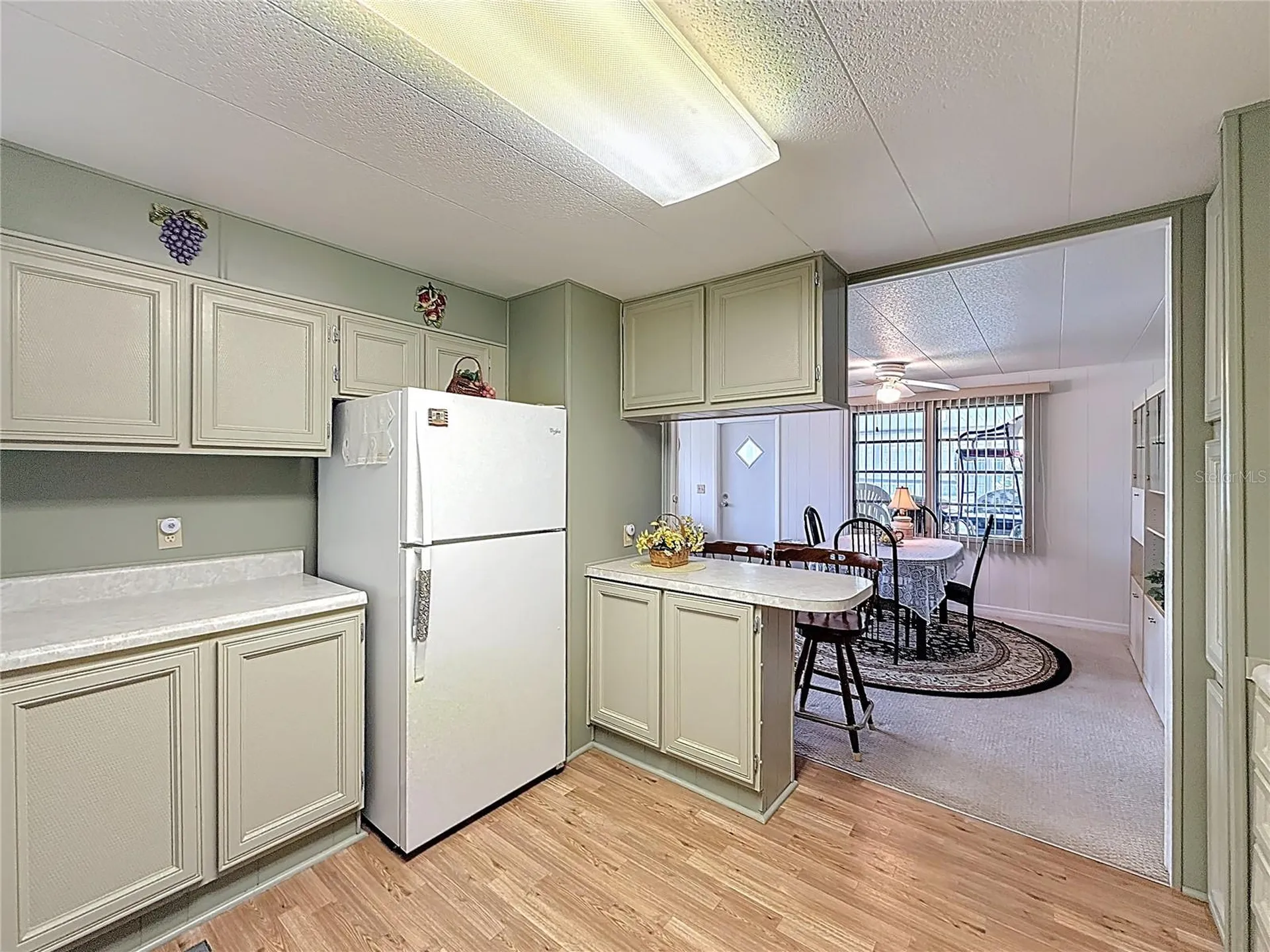 1231 Elkhart Circle Tavares FL 32778