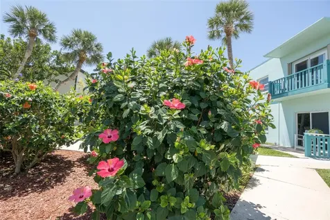311 Taylor Avenue Cape Canaveral FL 32920