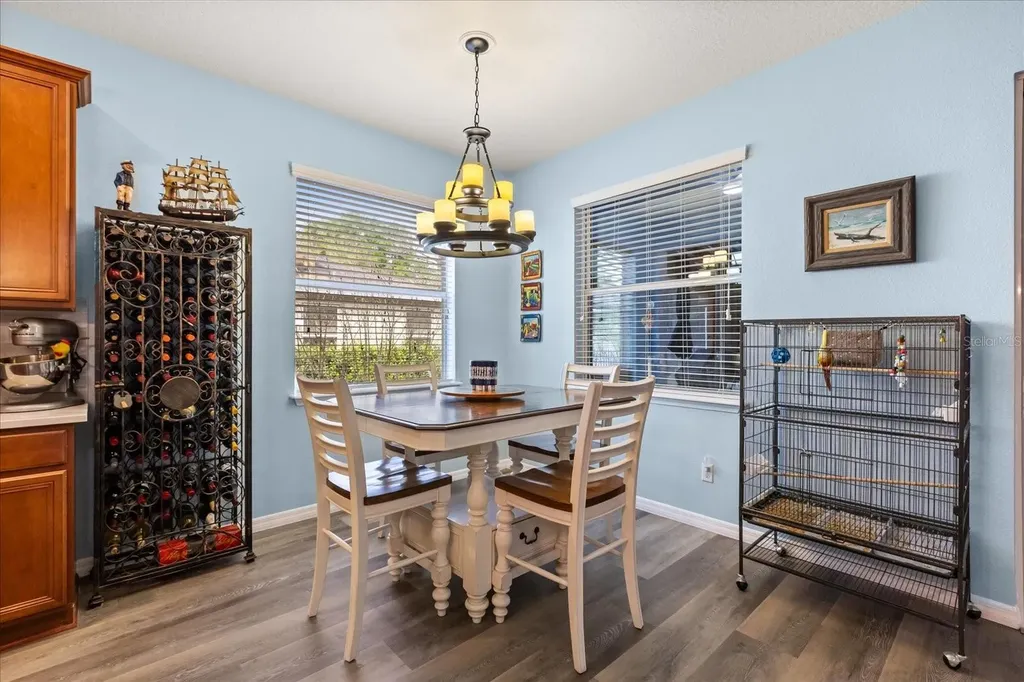 30231 Hackney Loop Mount Dora FL 32757