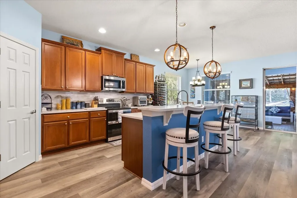 30231 Hackney Loop Mount Dora FL 32757