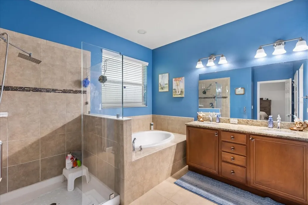 30231 Hackney Loop Mount Dora FL 32757