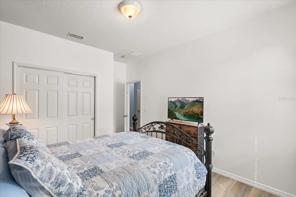 30231 Hackney Loop Mount Dora FL 32757