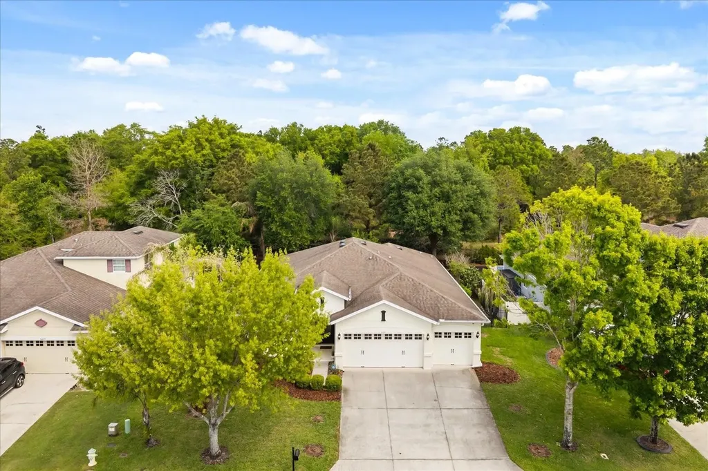 30231 Hackney Loop Mount Dora FL 32757