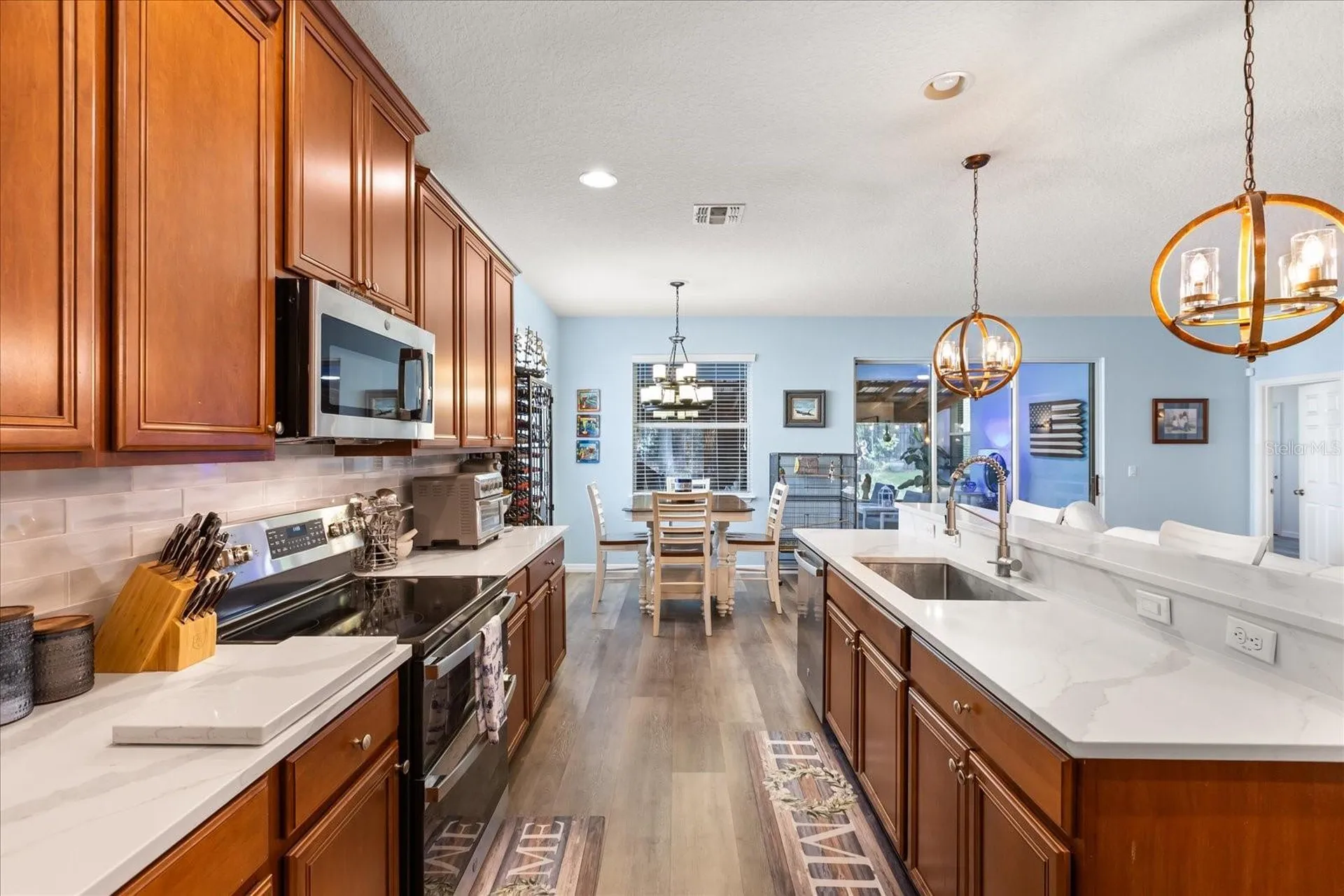30231 Hackney Loop Mount Dora FL 32757