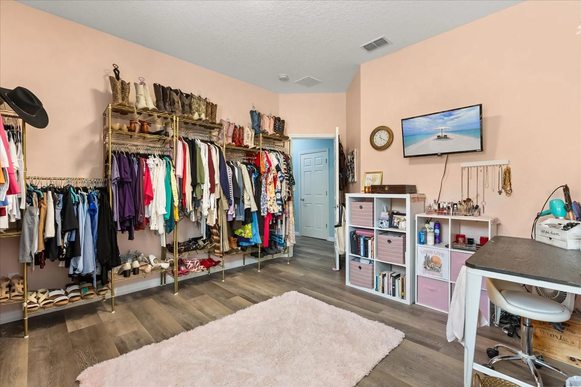 30231 Hackney Loop Mount Dora FL 32757