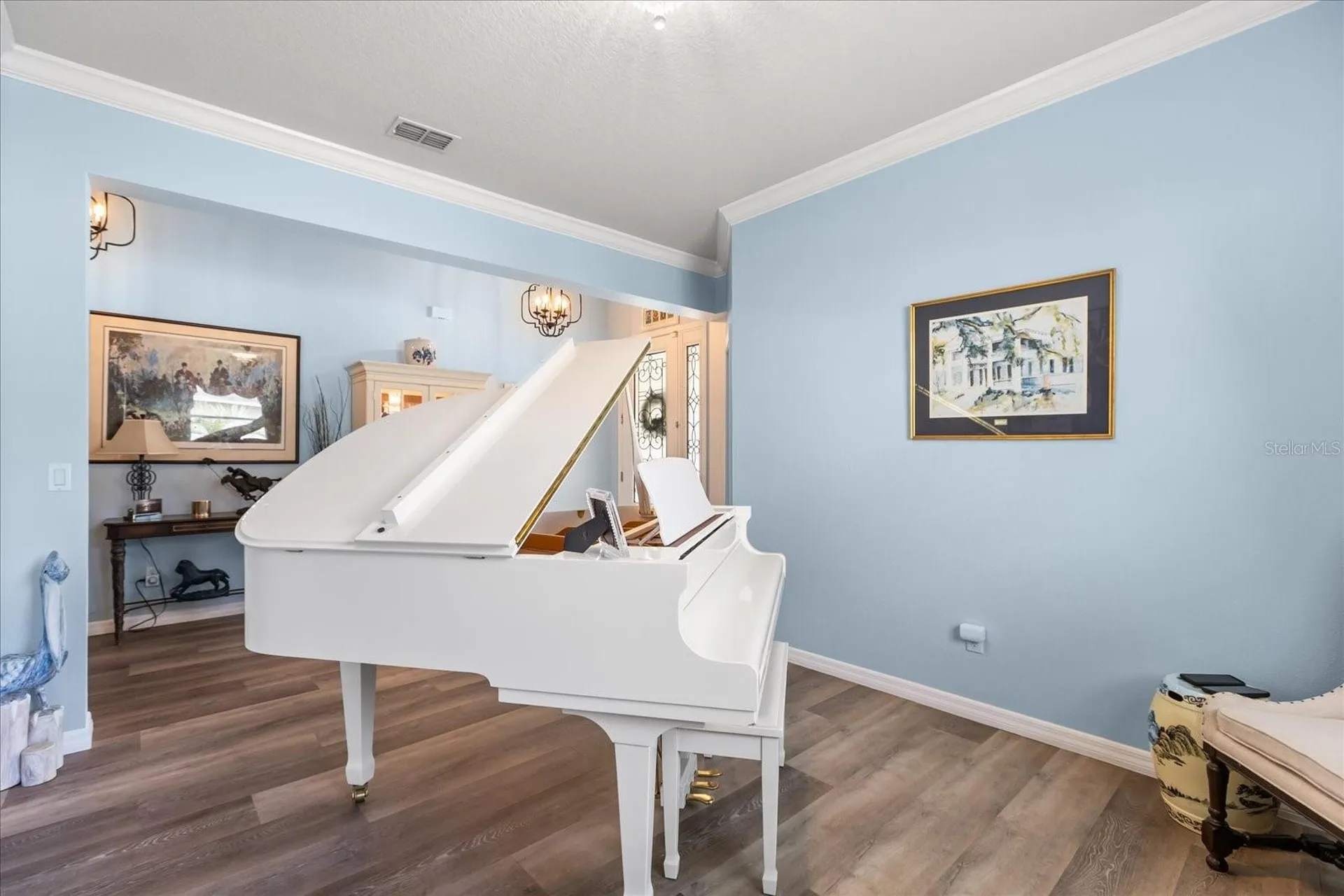 30231 Hackney Loop Mount Dora FL 32757