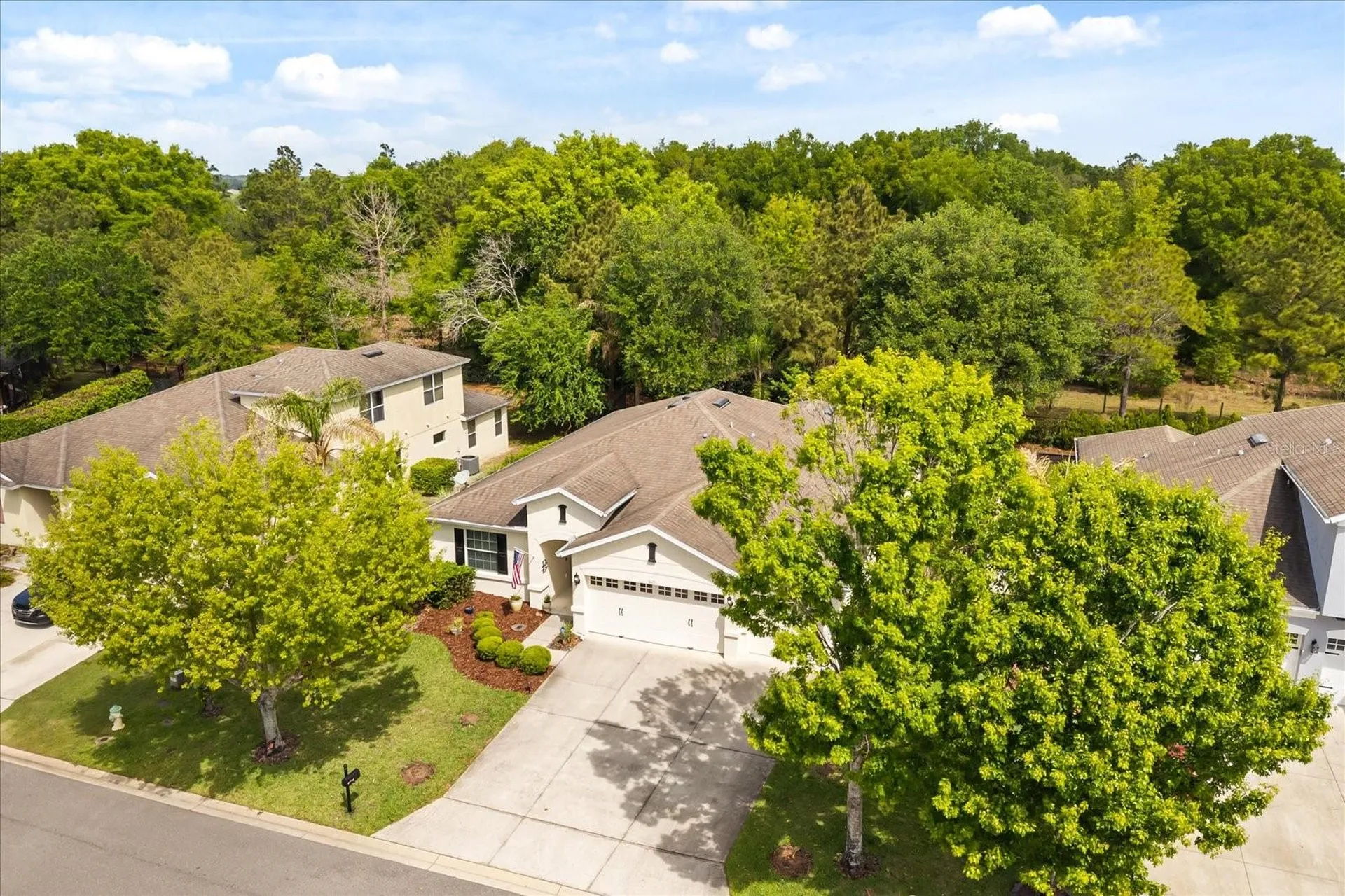 30231 Hackney Loop Mount Dora FL 32757