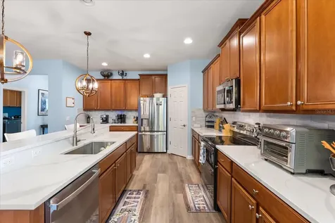 30231 Hackney Loop Mount Dora FL 32757