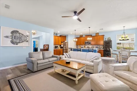 30231 Hackney Loop Mount Dora FL 32757