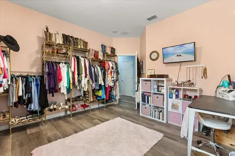 30231 Hackney Loop Mount Dora FL 32757