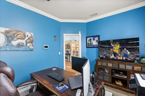 30231 Hackney Loop Mount Dora FL 32757