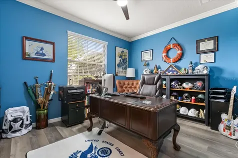 30231 Hackney Loop Mount Dora FL 32757