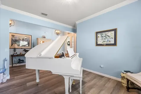 30231 Hackney Loop Mount Dora FL 32757