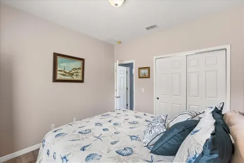 30231 Hackney Loop Mount Dora FL 32757