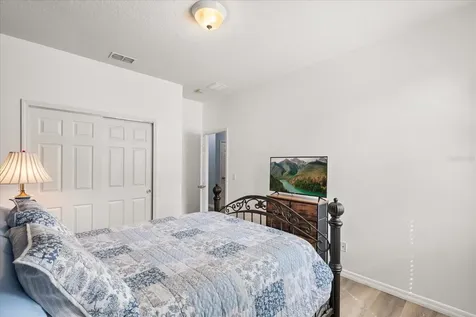 30231 Hackney Loop Mount Dora FL 32757