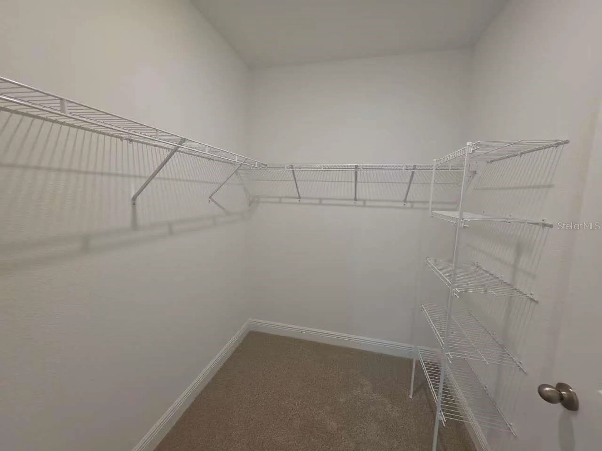 2212 Sienna Spruce Street Wesley Chapel FL 33543