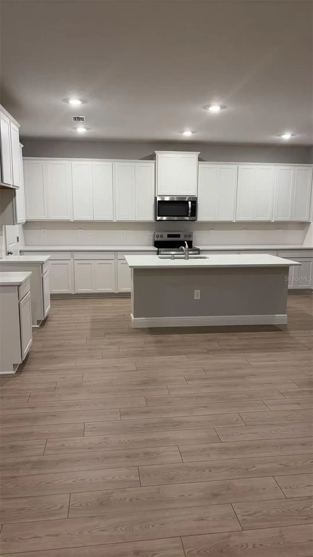 2212 Sienna Spruce Street Wesley Chapel FL 33543