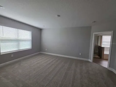 2212 Sienna Spruce Street Wesley Chapel FL 33543