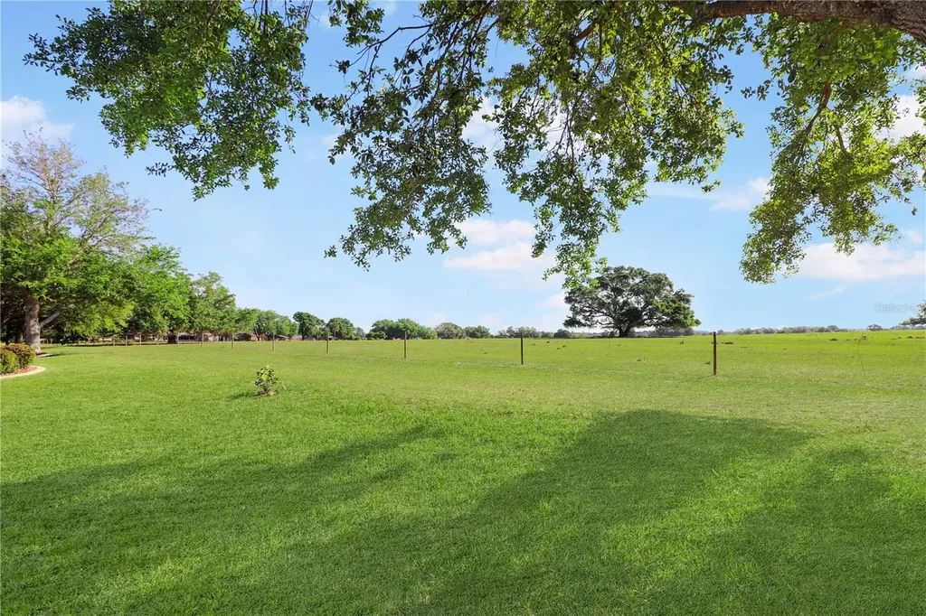 20846 Queen Alexandra Drive Leesburg FL 34748
