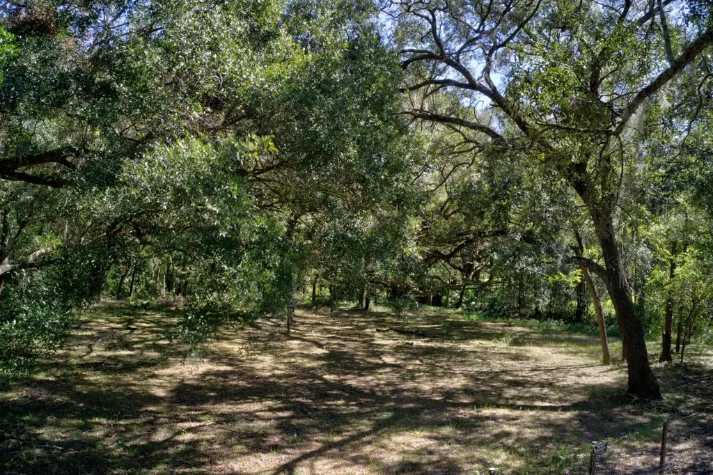 5005 SW 63rd Boulevard Gainesville FL 32608