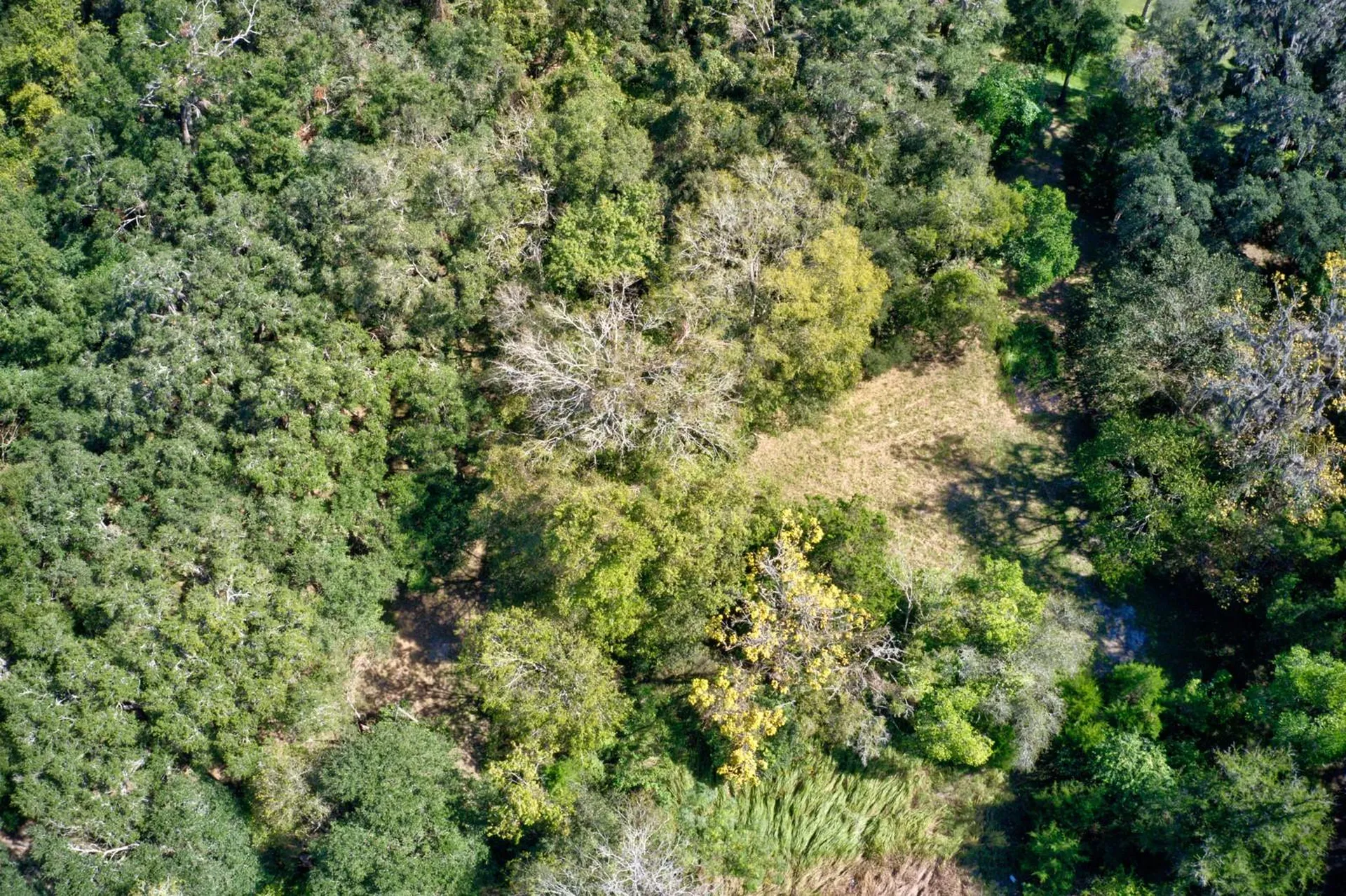 5005 SW 63rd Boulevard Gainesville FL 32608