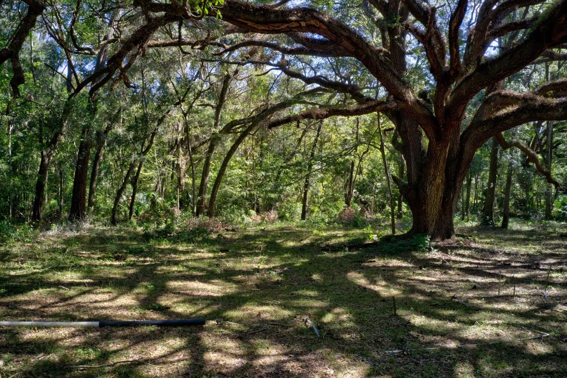 5005 SW 63rd Boulevard Gainesville FL 32608