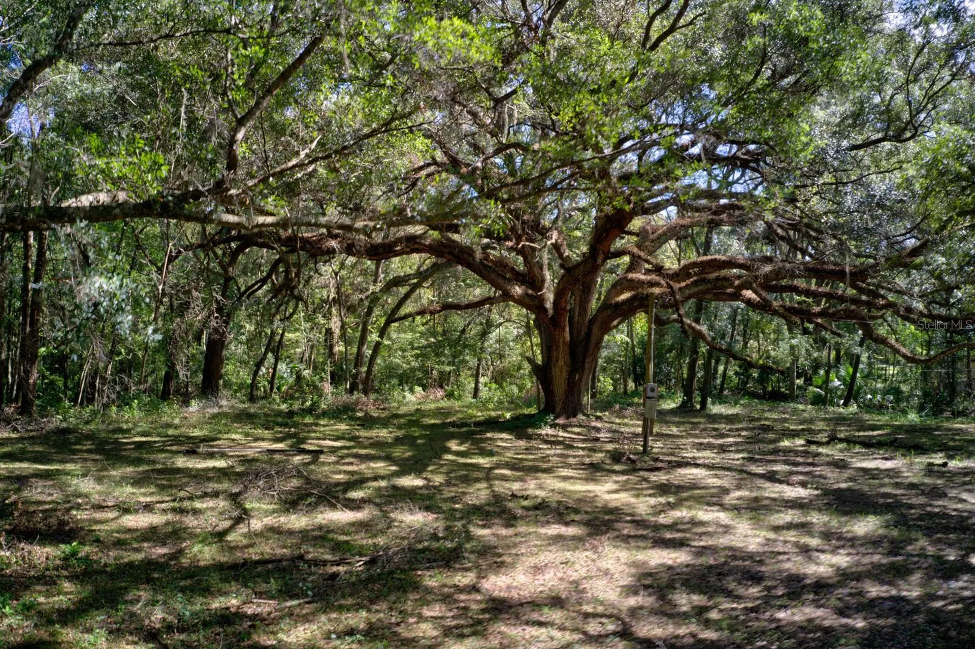 5005 SW 63rd Boulevard Gainesville FL 32608