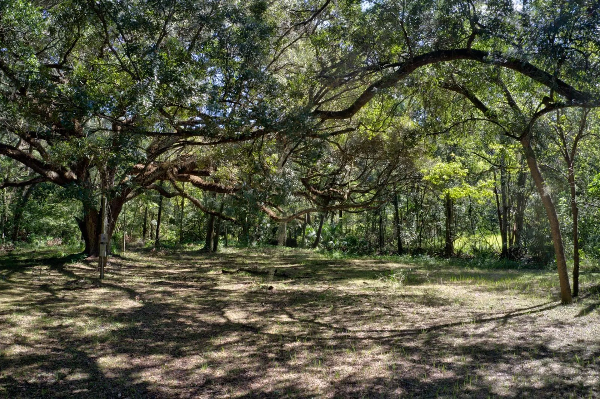 5005 SW 63rd Boulevard Gainesville FL 32608