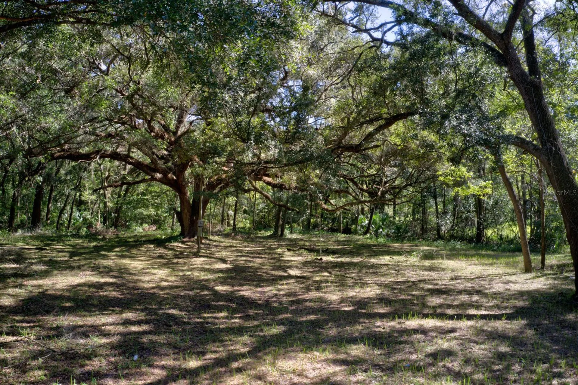 5005 SW 63rd Boulevard Gainesville FL 32608