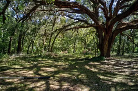 5005 SW 63rd Boulevard Gainesville FL 32608