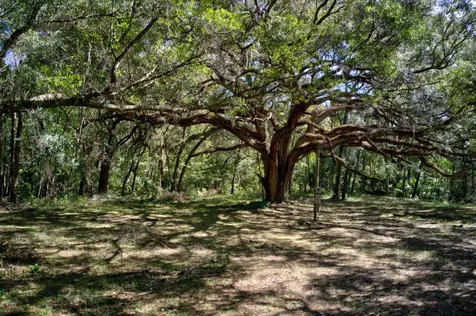 5005 SW 63rd Boulevard Gainesville FL 32608
