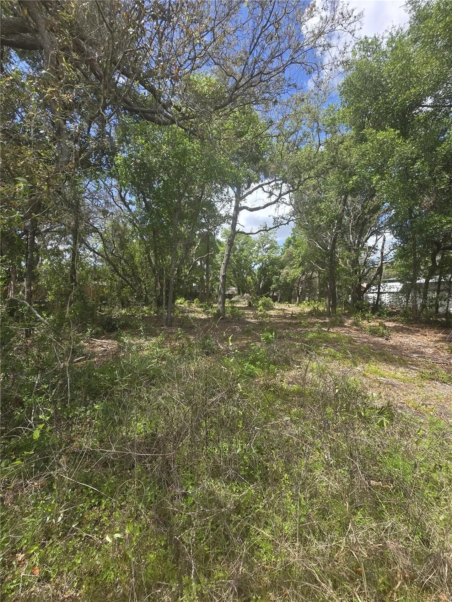 8140 Walt Williams Road Lakeland FL 33809