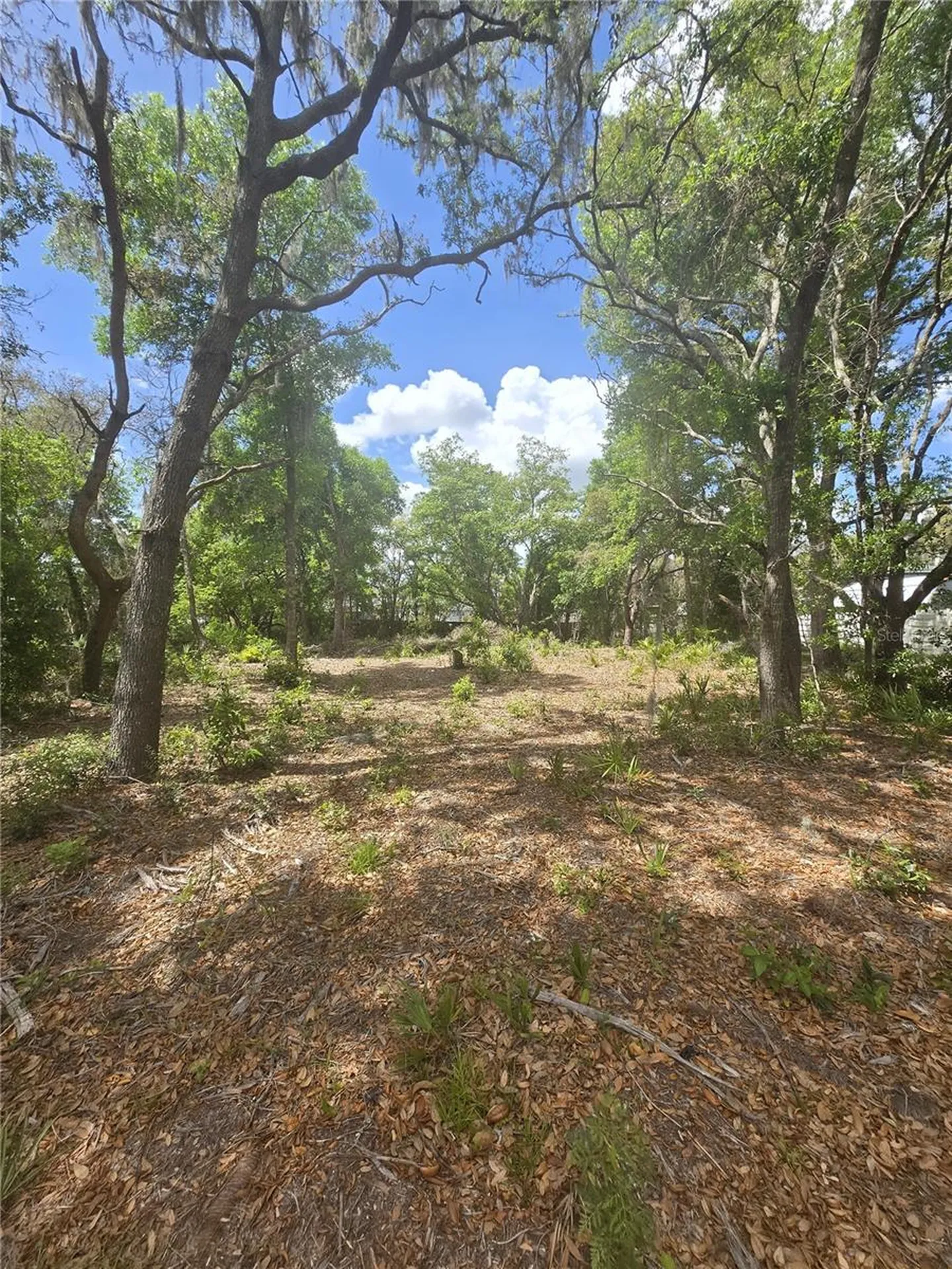 8140 Walt Williams Road Lakeland FL 33809