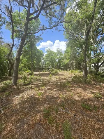 8140 Walt Williams Road Lakeland FL 33809