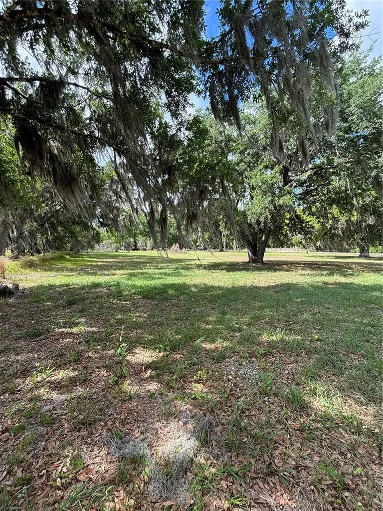 1445 Carter Street Auburndale FL 33823