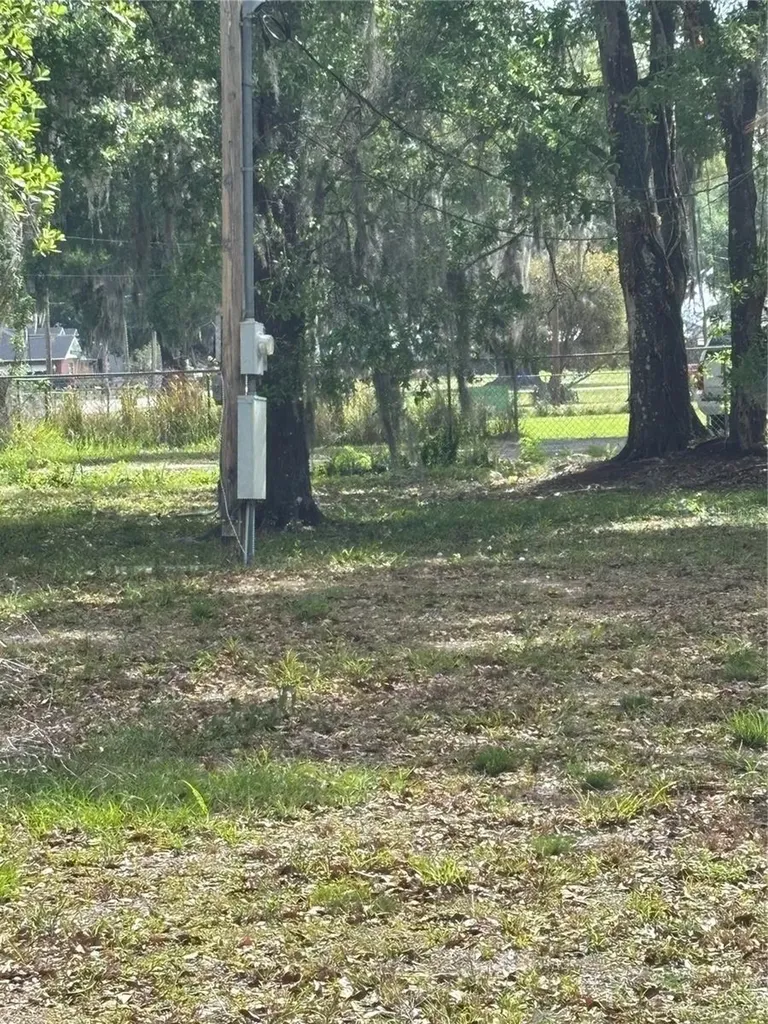 1445 Carter Street Auburndale FL 33823