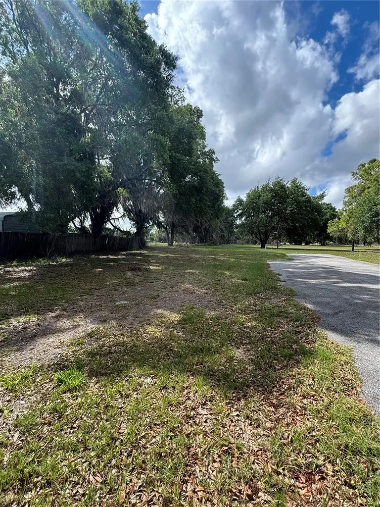 1445 Carter Street Auburndale FL 33823