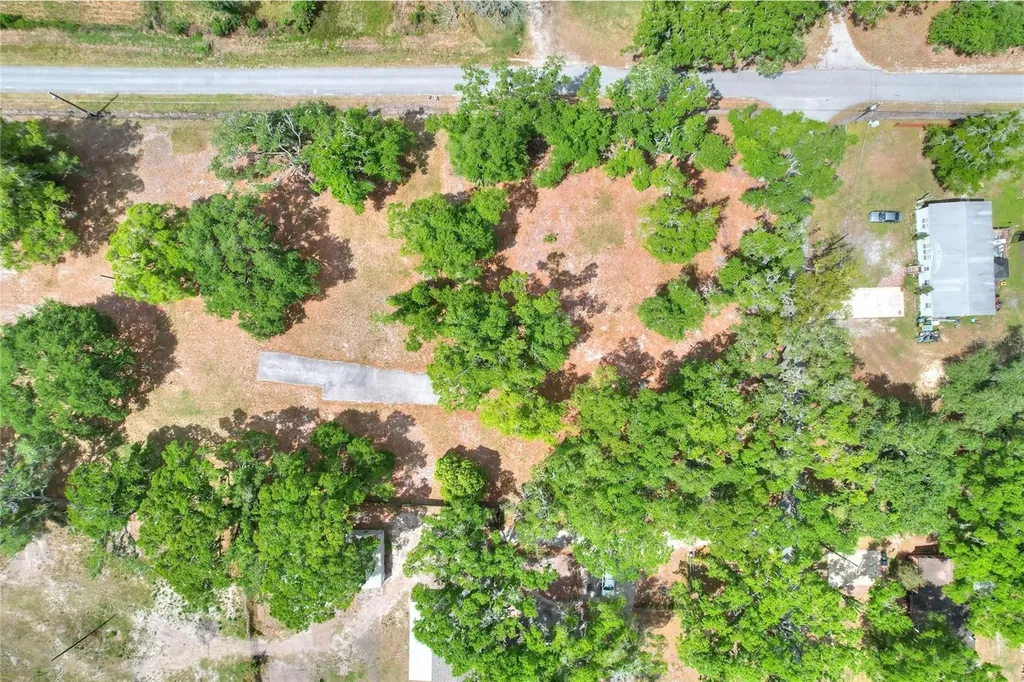 1445 Carter Street Auburndale FL 33823