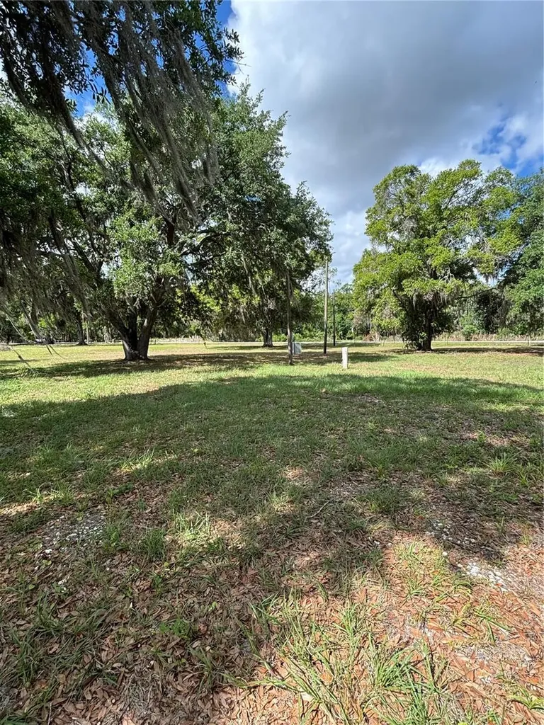 1445 Carter Street Auburndale FL 33823