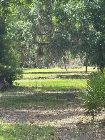 1445 Carter Street Auburndale FL 33823