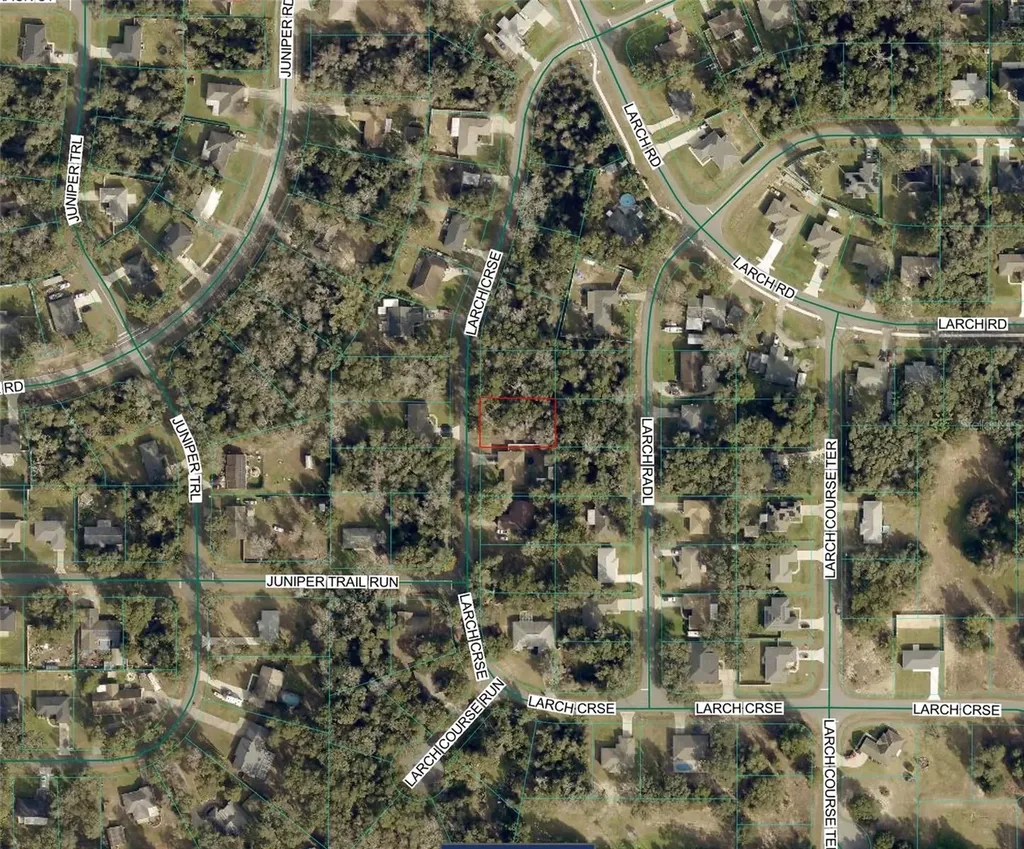 Tbd Larch Course Ocala FL 34480