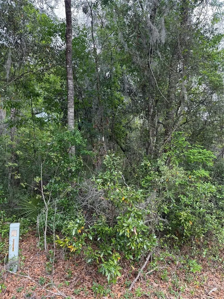 Tbd Larch Course Ocala FL 34480