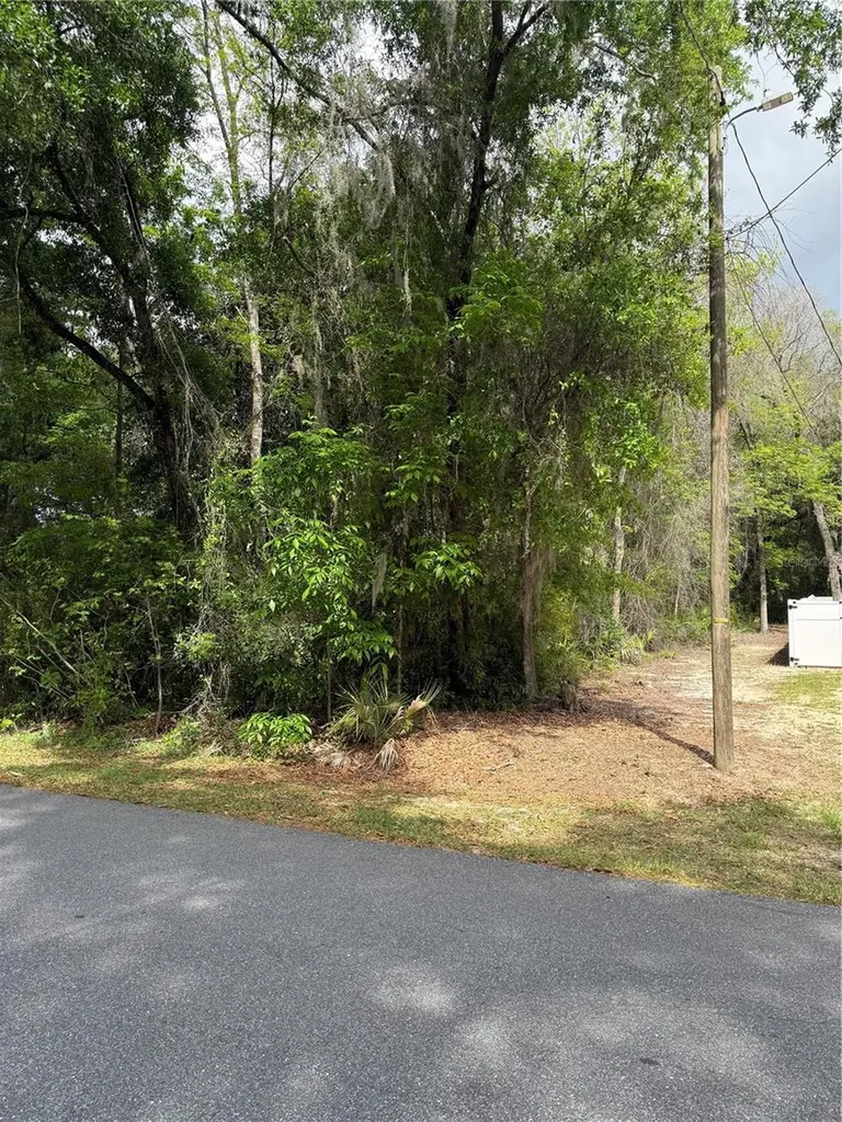 Tbd Larch Course Ocala FL 34480