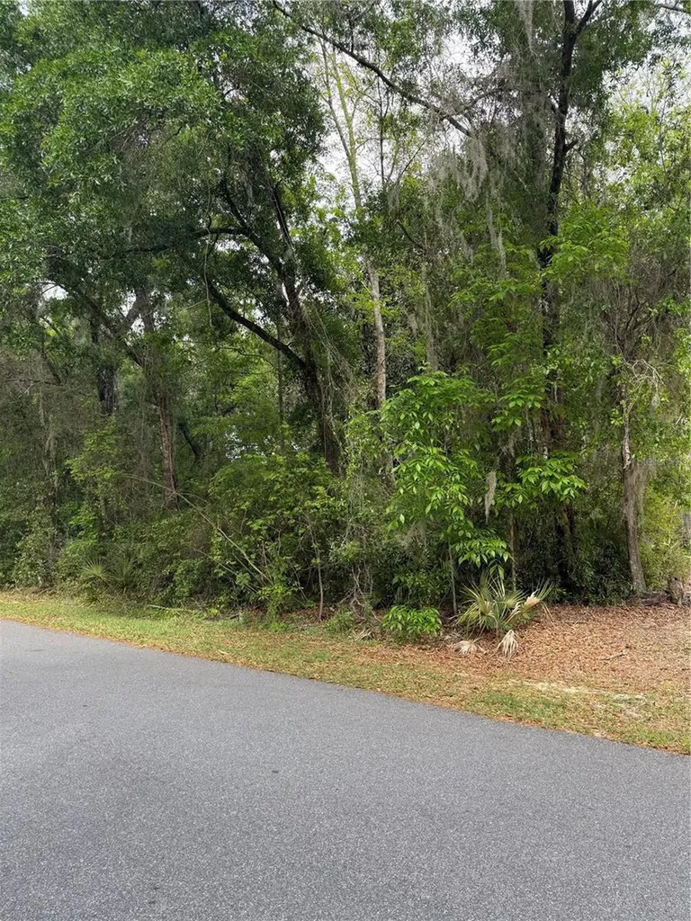 Tbd Larch Course Ocala FL 34480